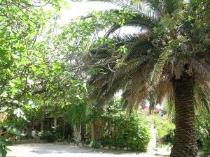 objects/738/99882_brna 21.jpg